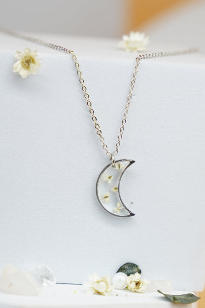 Mystery-moon Queen anne lace